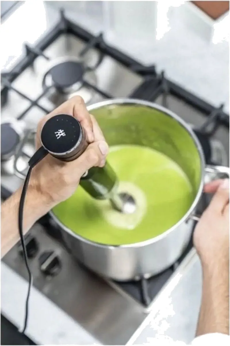 Enfinigy Staafmixer 800 W by Zwilling in Black, Silver – product photo