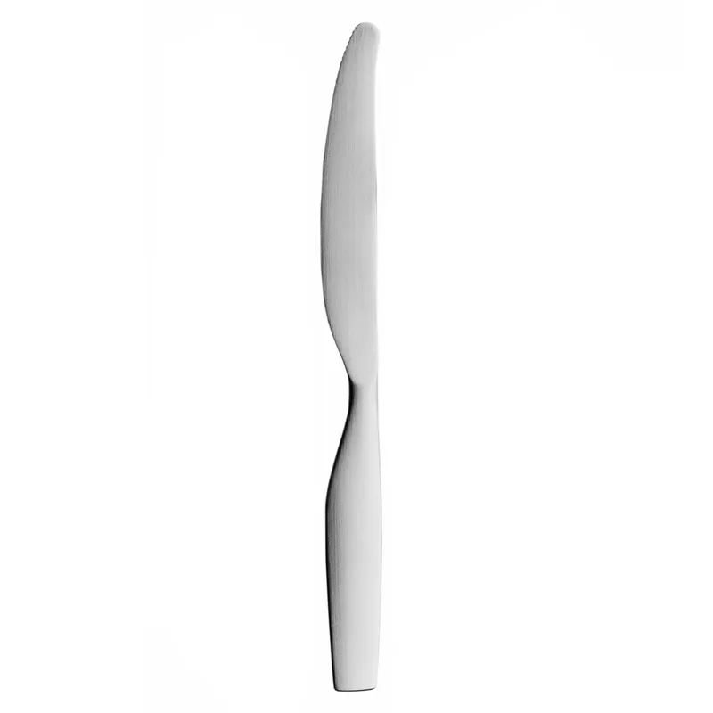 Couteau Citterio 98 Acier inoxydable mat de Iittala – photo produit