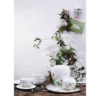 Geschirr-Set Geschirr-Set 6-tlg. Brillance Fleurs Sauvages (6-tlg), Bone China, Geschirr-Set, 6-tlg., Bone China, mehrfarbig van Rosenthal in Meerkleurig – productfoto 2 van 3