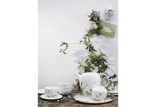 Geschirr-Set Geschirr-Set Kaffee Brillance Fleurs Sauvages (6-teilig) de Rosenthal – photo produit 4 sur 5